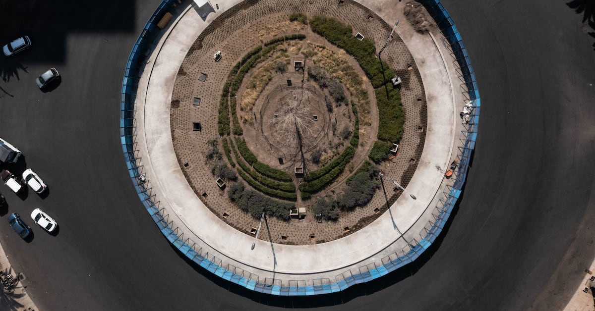 Ahuehuete Reforma Ahuehuete de Paseo de la Reforma será retirado; lo reemplazarán con su ...