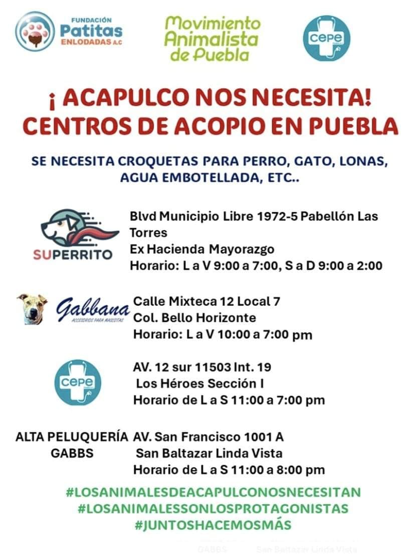 Centros de acopio de alimentos para mascotas y lonas en Puebla