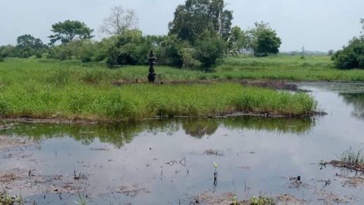 Pemex controla fuga en pozo de Minatitlán, Veracruz; descarta riesgo a población