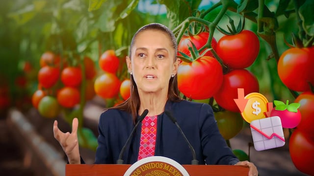 Claudia Sheinbaum buscará bajar el precio del jitomate.