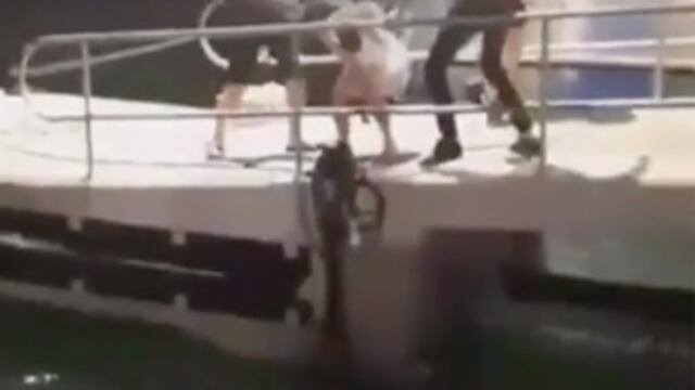 Agresión homofóbica