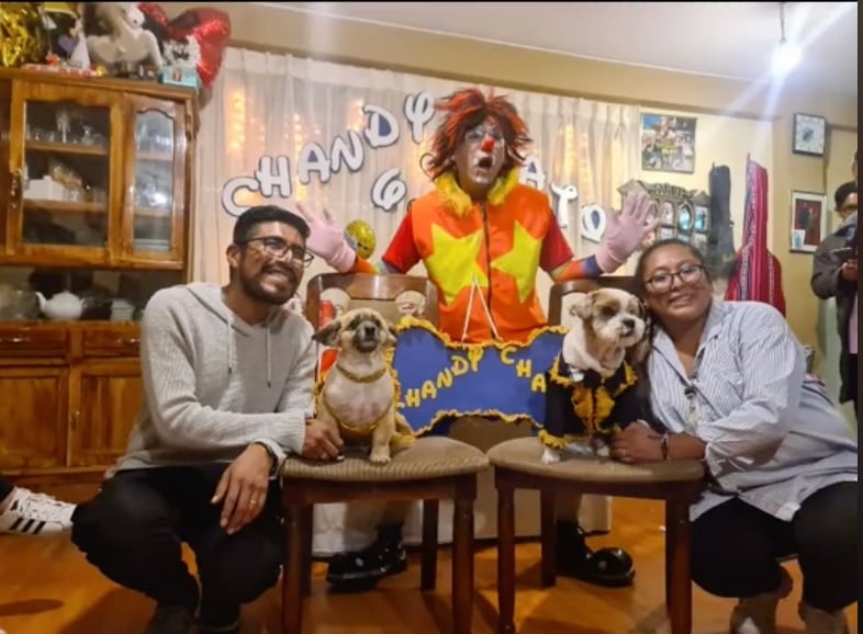 Los perros en su fiesta de cumpleaños