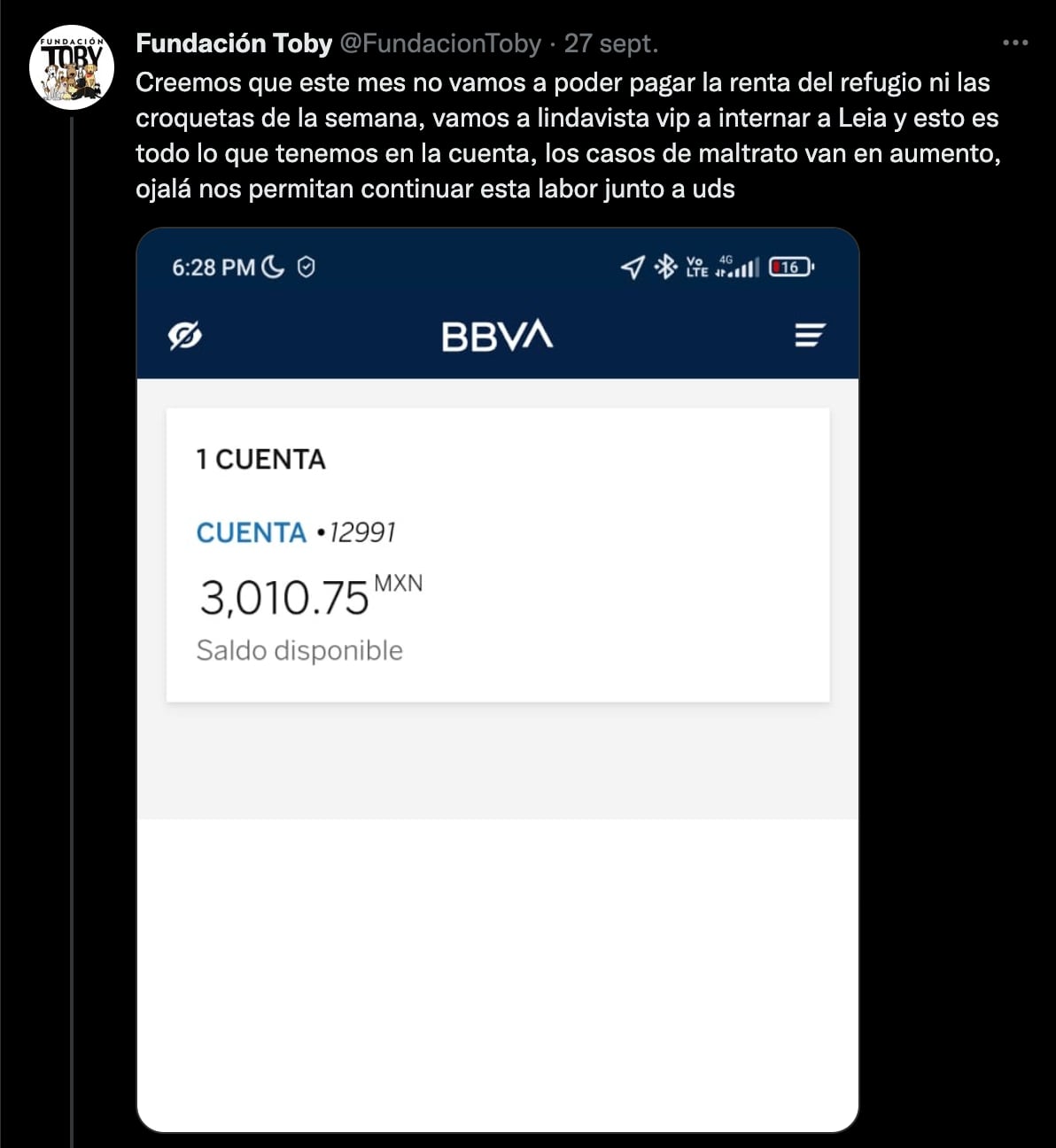 Fundación Toby, que rescata perritos, peligra por esta terrible razón