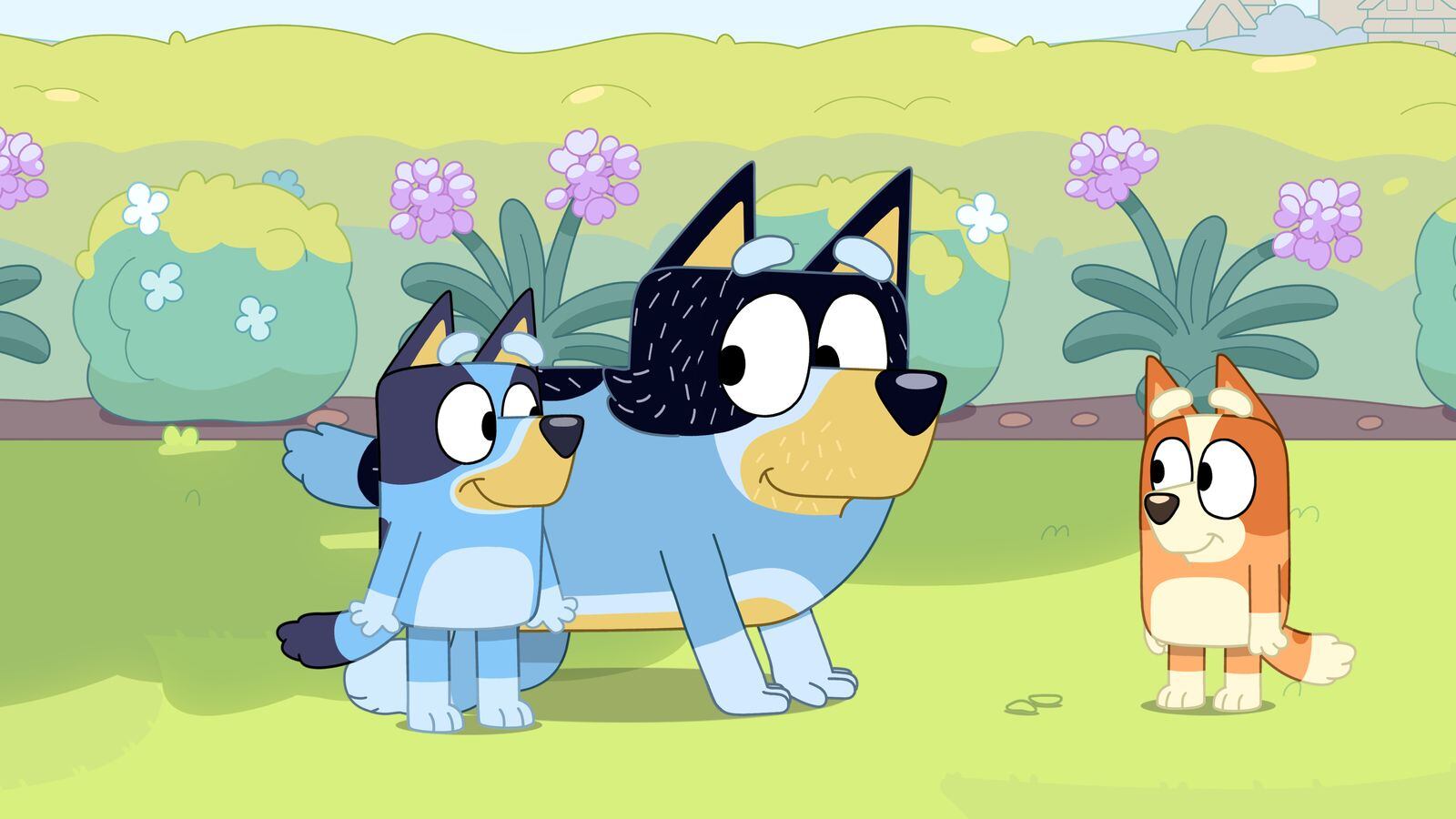 Bluey y Bingo