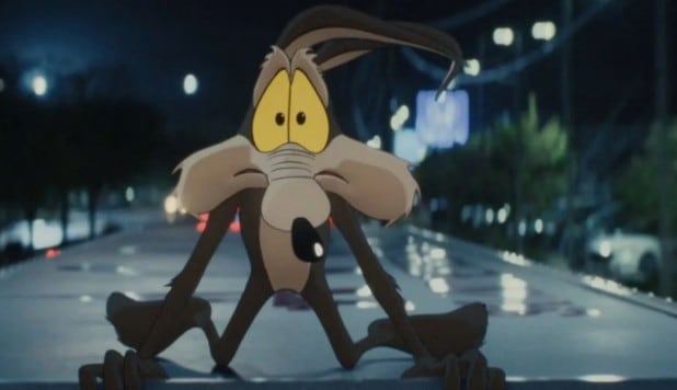 Coyote vs. Acme
