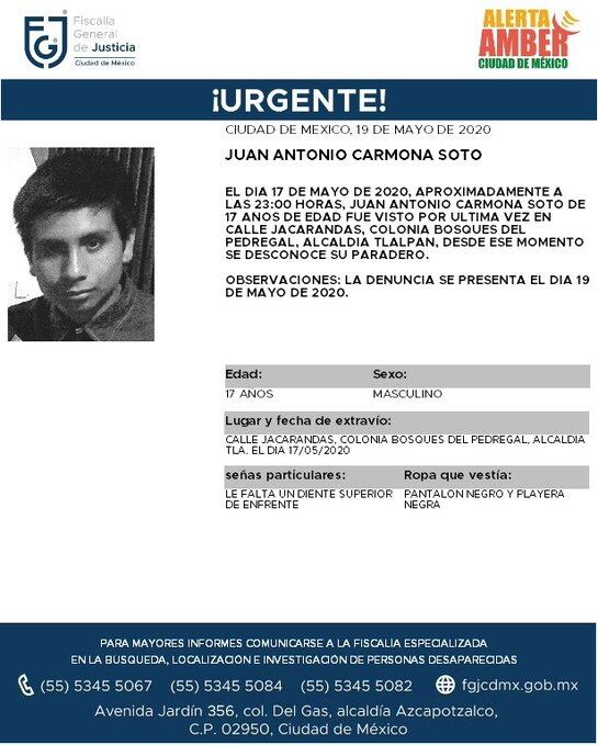 Ficha de búsqueda.