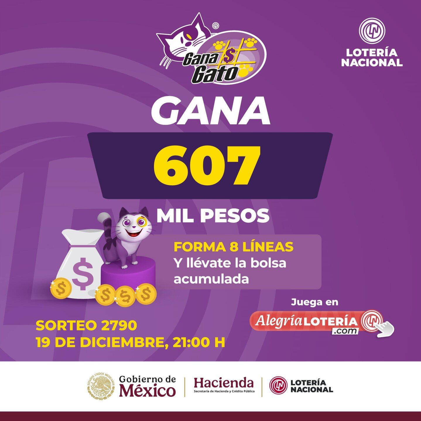 Resultados Sorteo Gana Gato 2790 de Lotería Nacional: Estos son los números ganadores