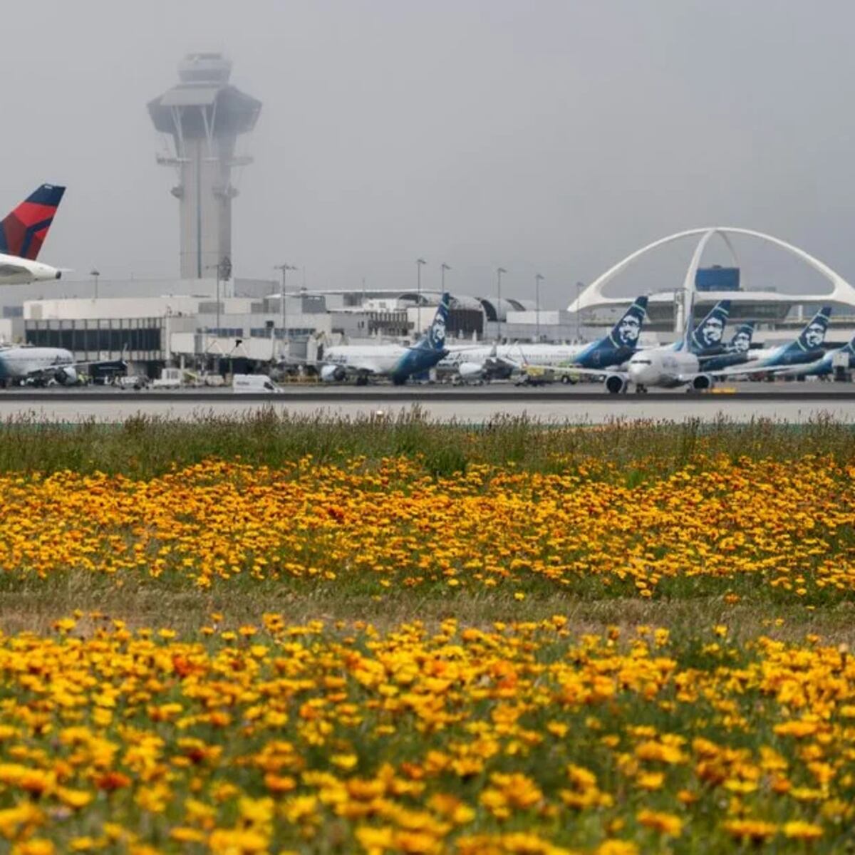 En el verano, ¿cómo se comportó la aviación comercial?