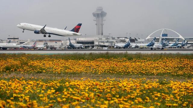 Crisis en Medio Oriente afecta a la aviación durante agosto