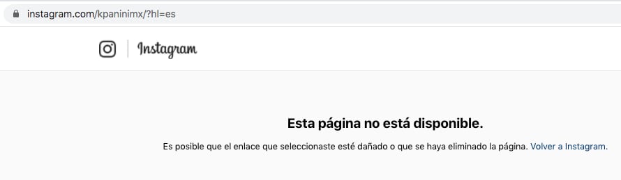 Suspenden temporalmente Instagram de Karla Panini