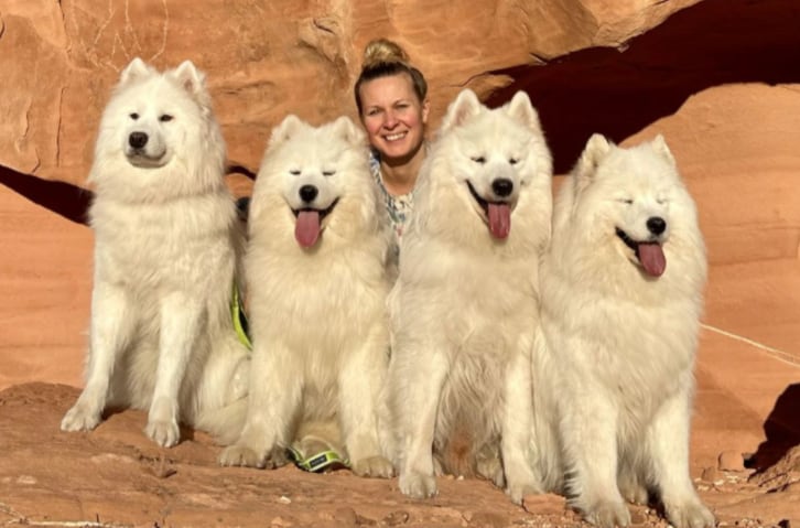 Viaja por el mundo con sus perros