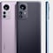 Xiaomi 12X: ¿Cuánto costará en México?