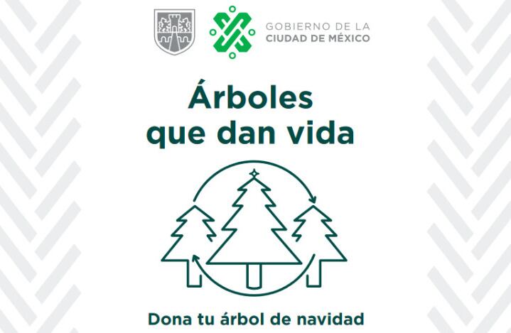 Árboles que dan vida