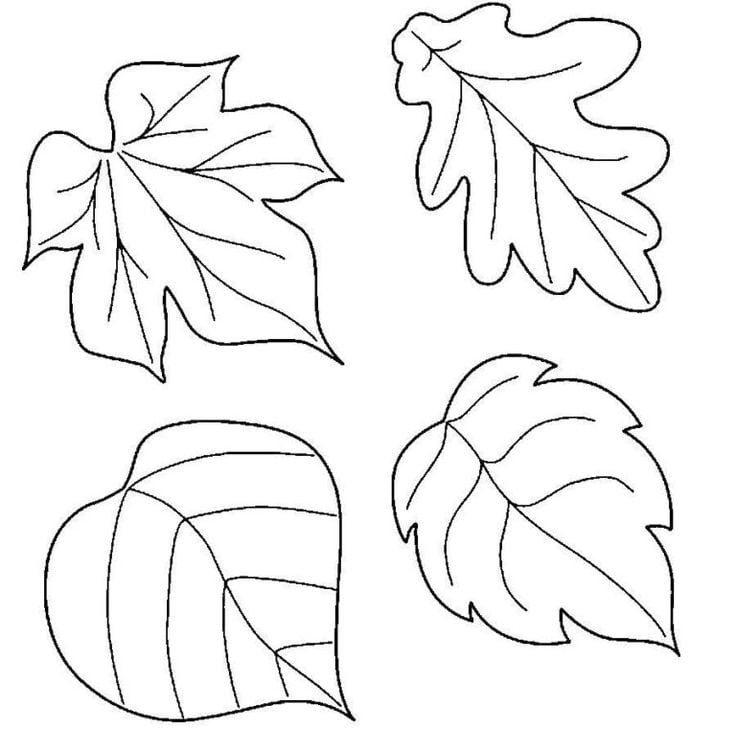 Dibujos bonitos de otoño para imprimir y colorear