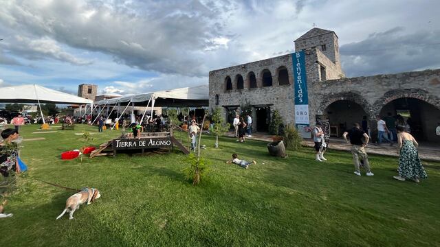 vendimia Tierra de Alonso