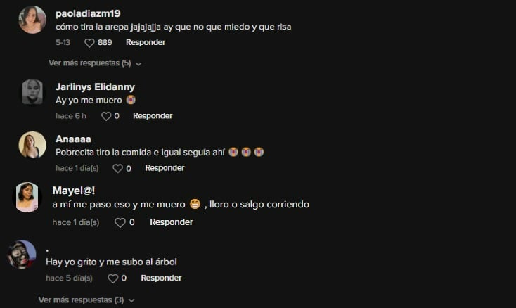 Iguana sorprende a alumna durante el recreo y TikTok tampoco sabe qué hacer