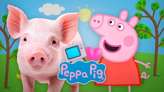 ¿Qué raza de cerdo es Peppa Pig?