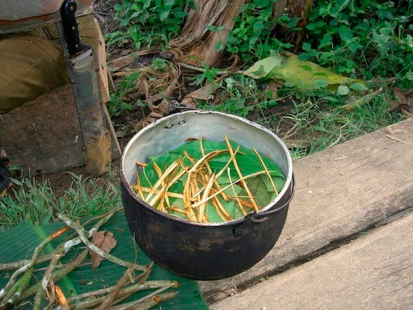 Preparación de la ayahuasca