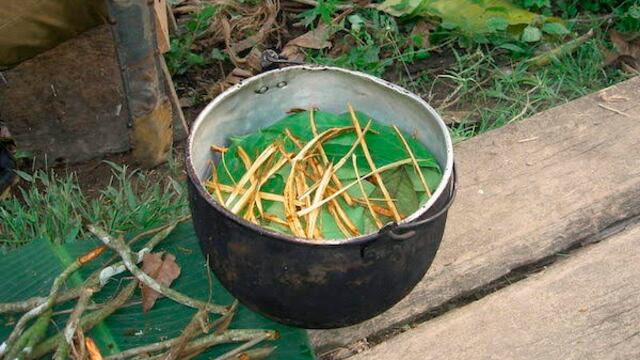 Preparación de la ayahuasca