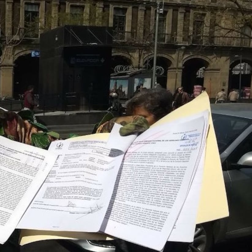 Un 'árbol' busca tirar la Ley de Seguridad Interior