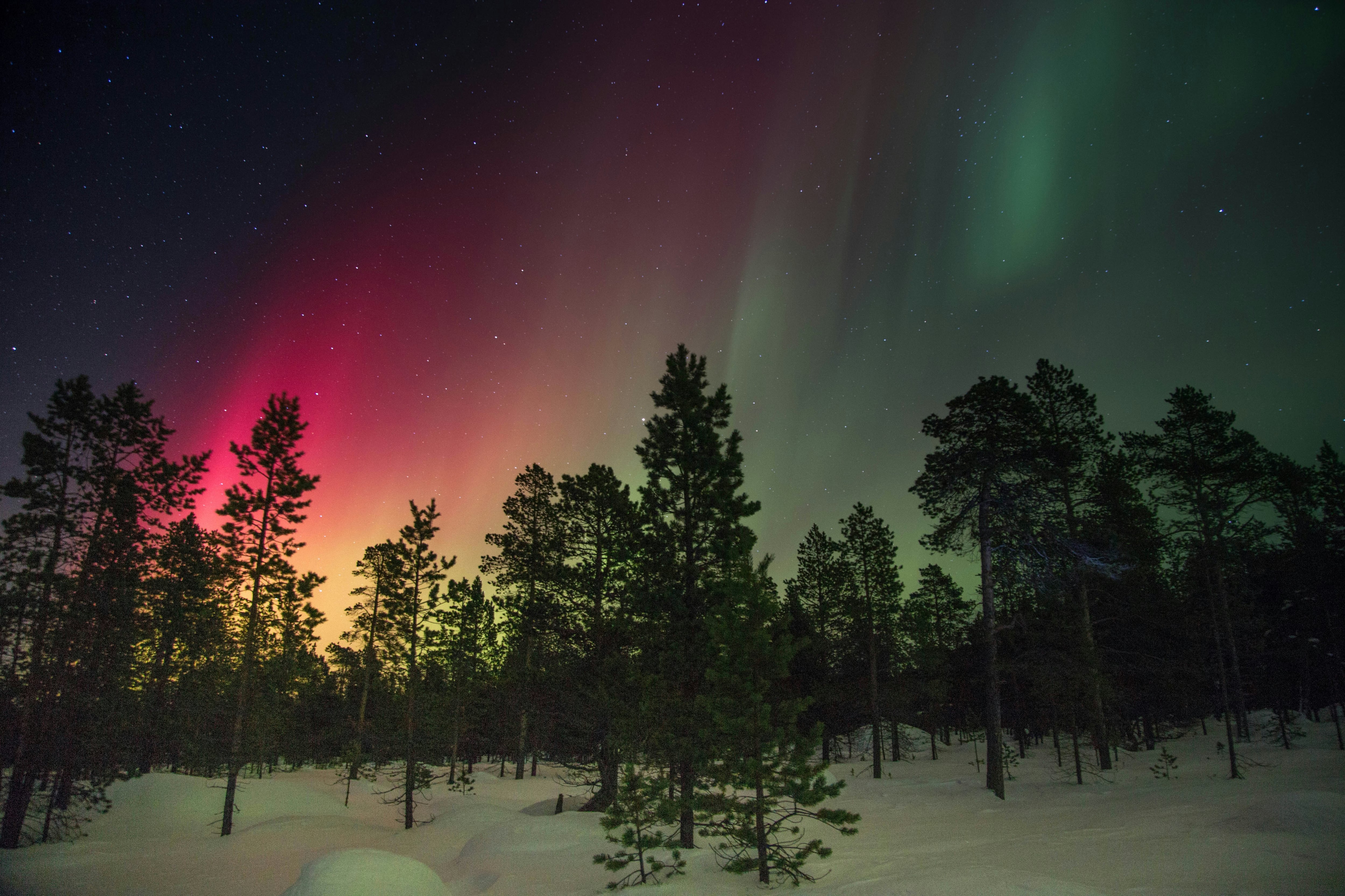 Aurora boreal