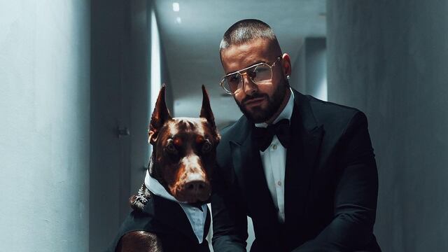 Maluma y su perro, Buda