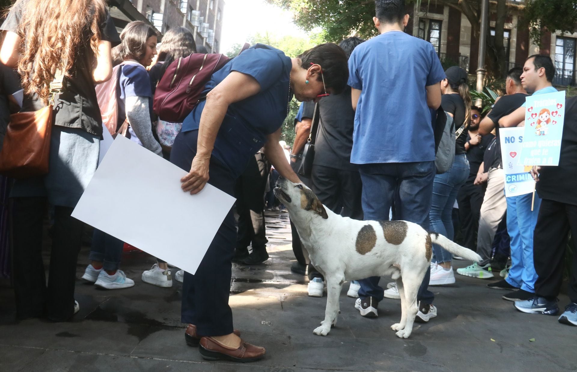 Veterinarios inician marchas y paro hoy 18 de febrero