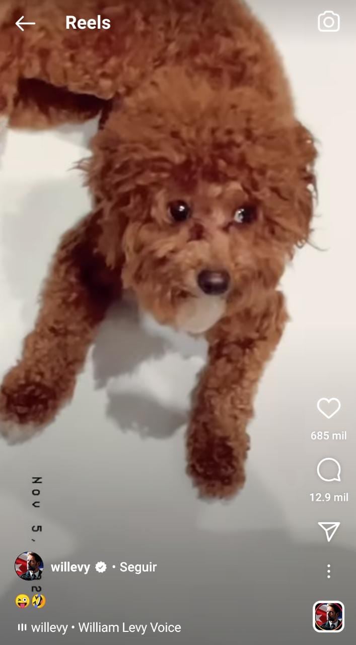 Perrito de William Levy reacciona a broma del actor