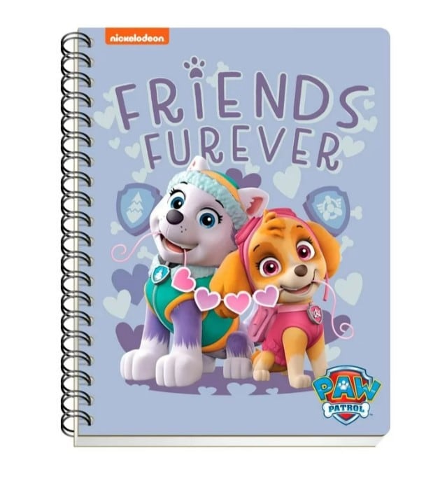 Cuadernos de Paw Patrol en Walmart
