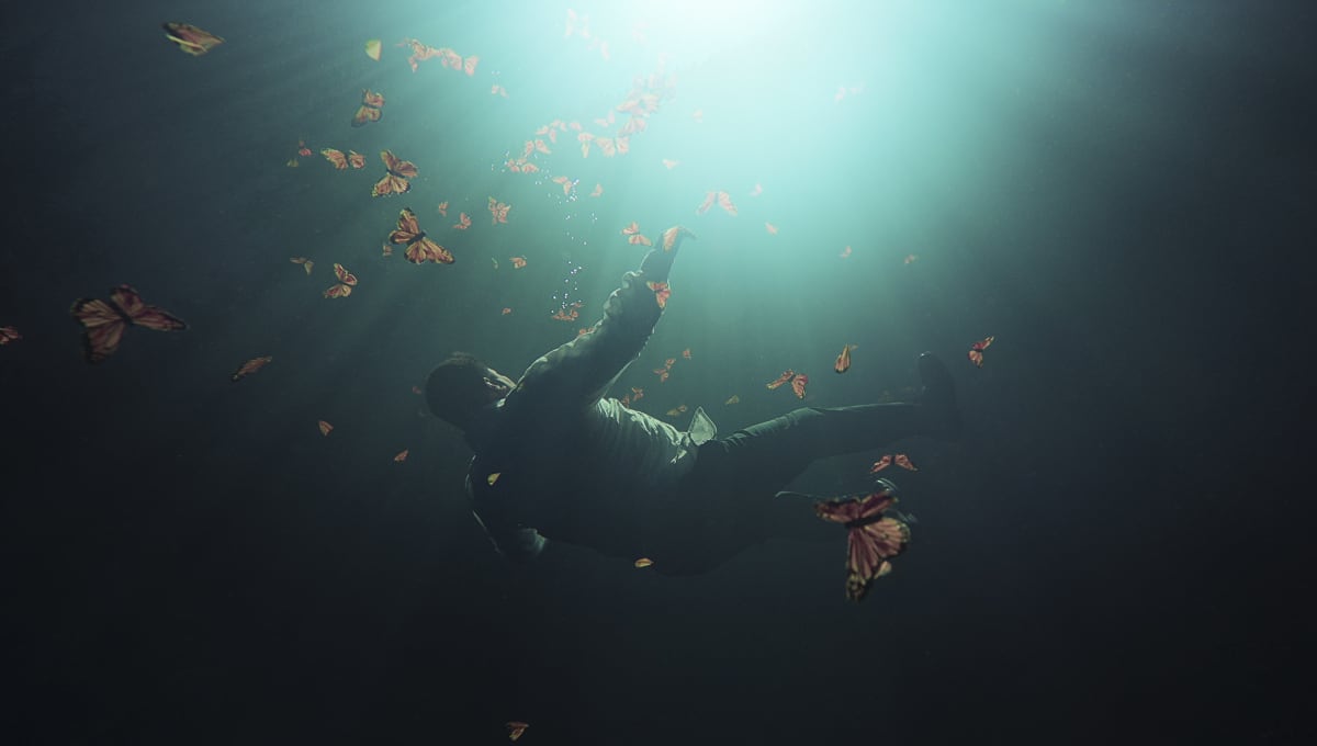 "El Guardián de las Monarcas", documental de Netflix