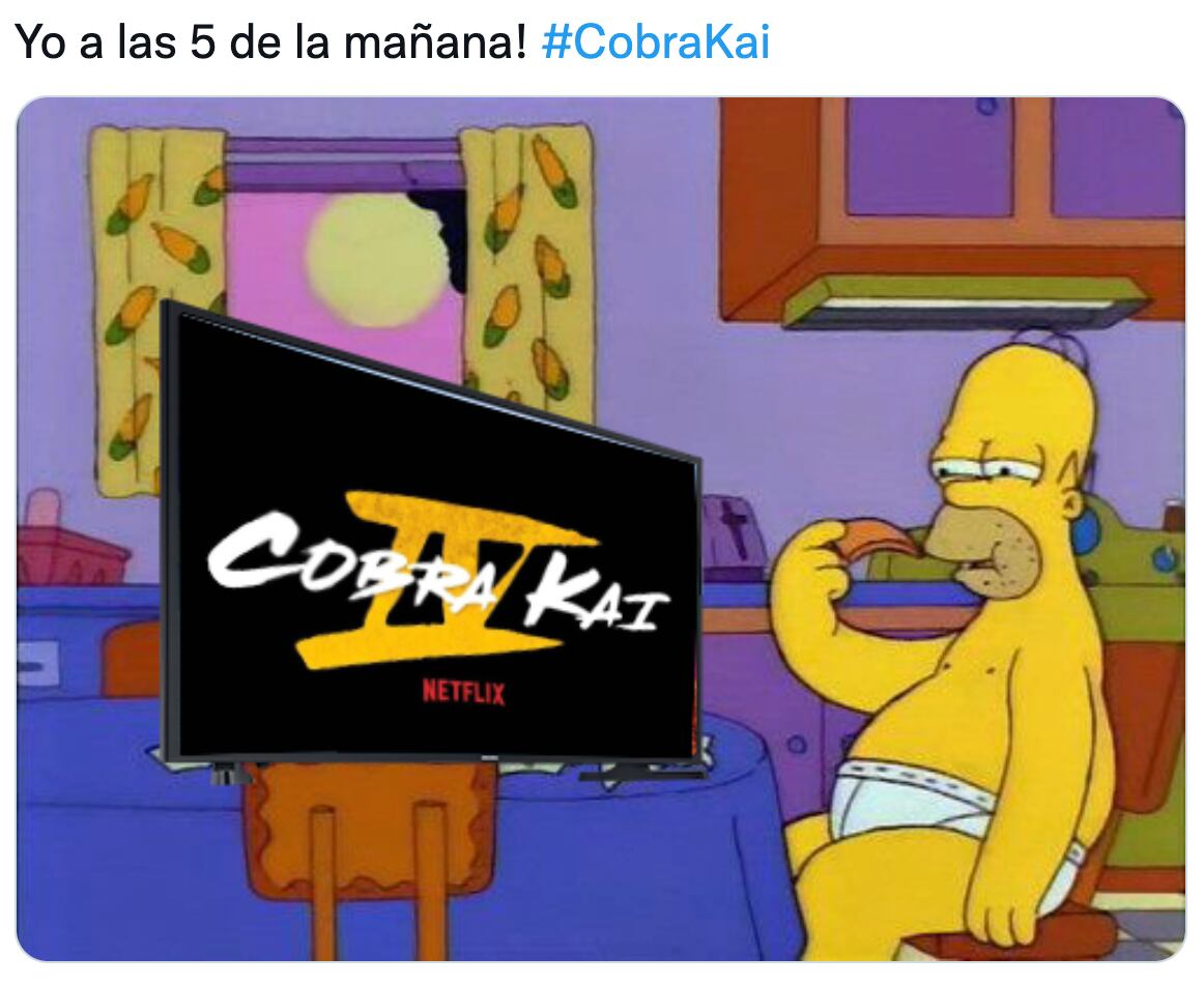 Memes del estreno de 'Cobra Kai'