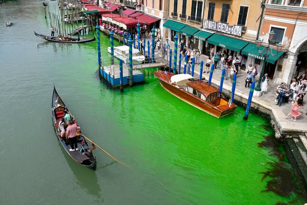 Gran Canal de Venecia se pinta de verde