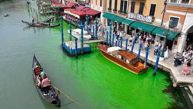 Gran Canal de Venecia se pinta de verde