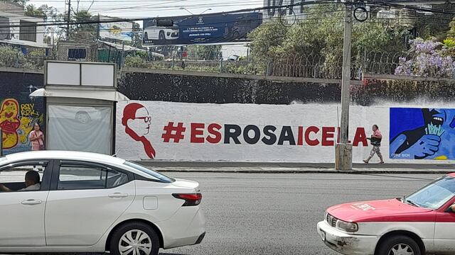 Promocionan a Rosa Icela Rodríguez en la CDMX