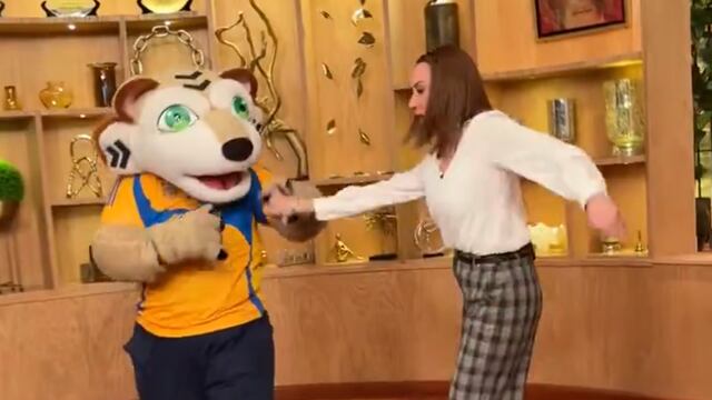 Mascota de Tigres en Ventaneando