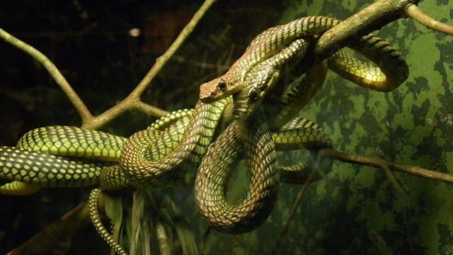 Foto: Alan Couch, tomada bajo la licencia Creative Commons