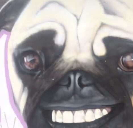 Mural pug