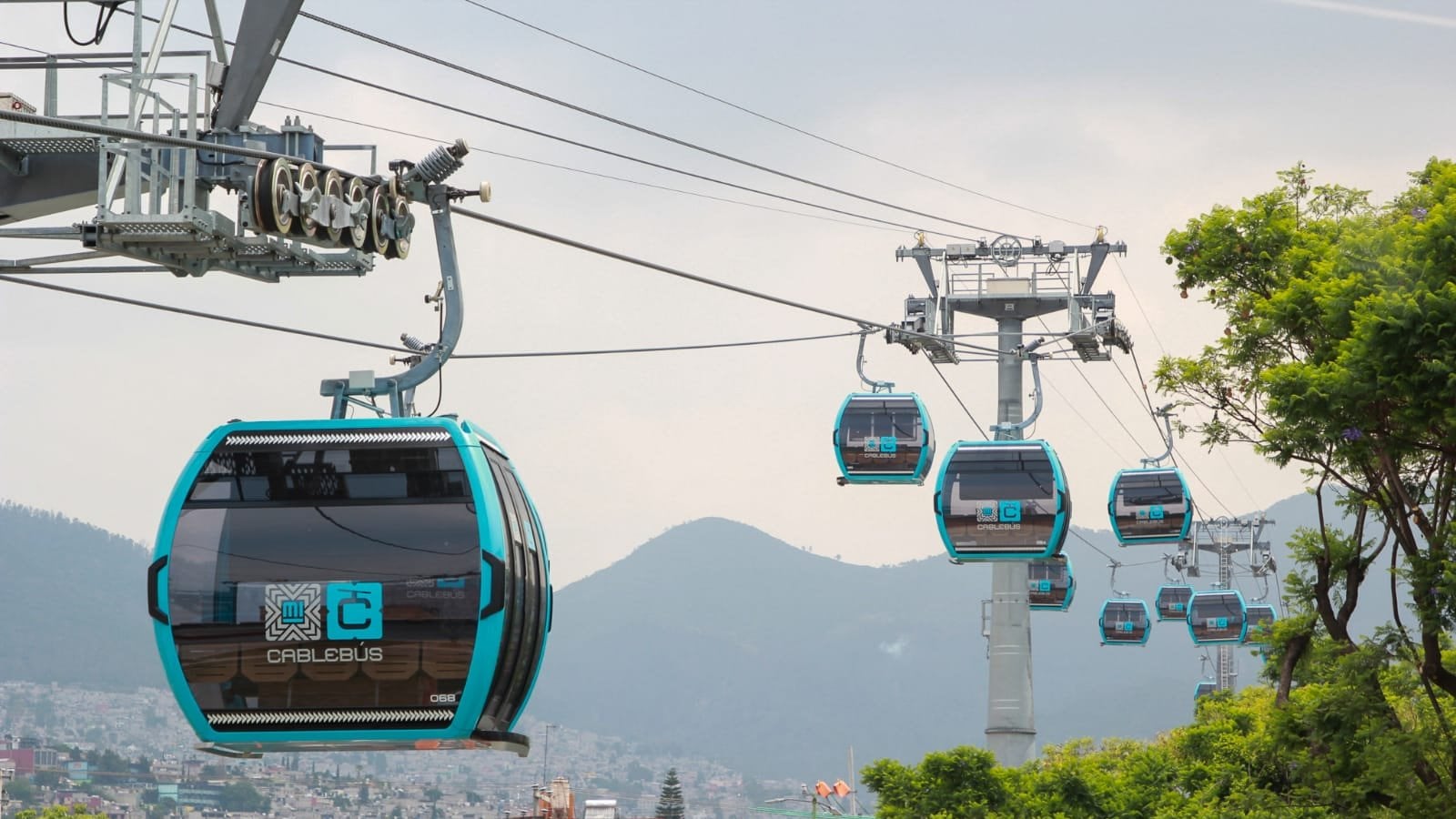 ¿Chinches en Cablebús? Acusan presencia del insecto en Línea 1