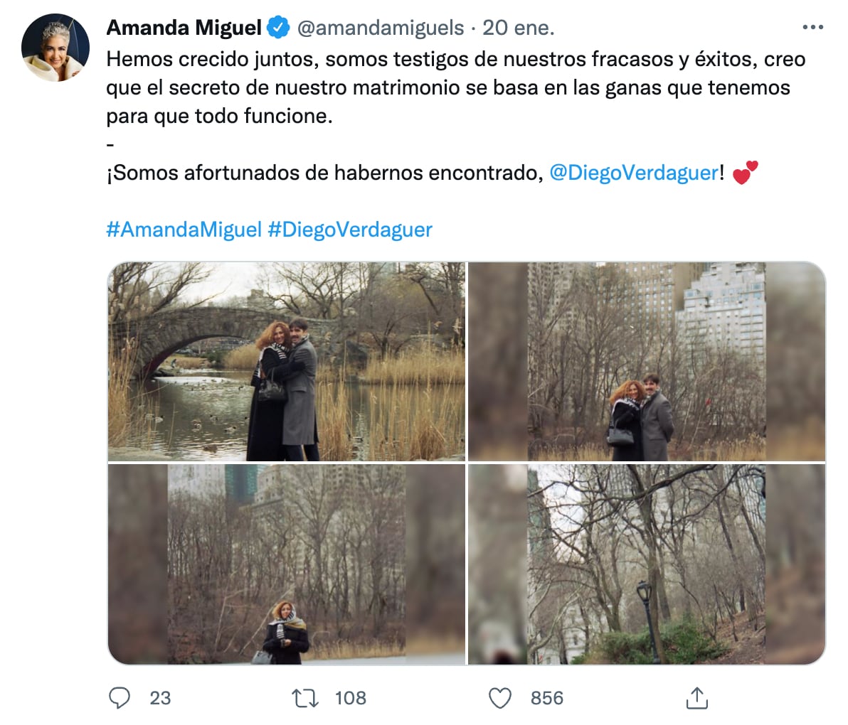 Mensaje de Amanda Miguel para Diego Verdaguer