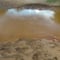 Derrame de 40 mil litros de ácido sulfúrico en río Sonora limita suministro de 7 municipios
