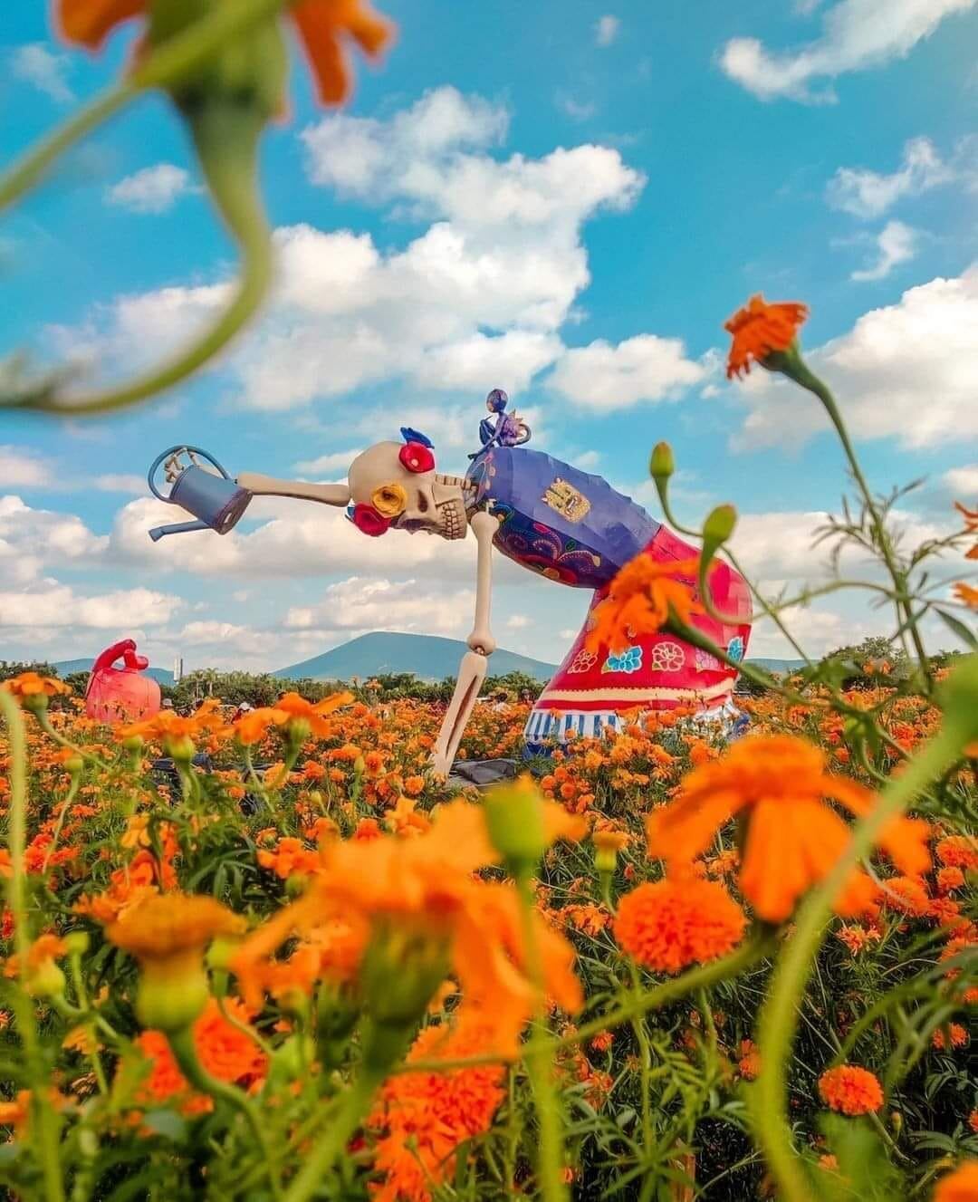 Valle de las Catrinas 2024