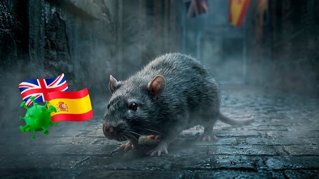 Confirman casos de hantavirus en España y Reino Unido
