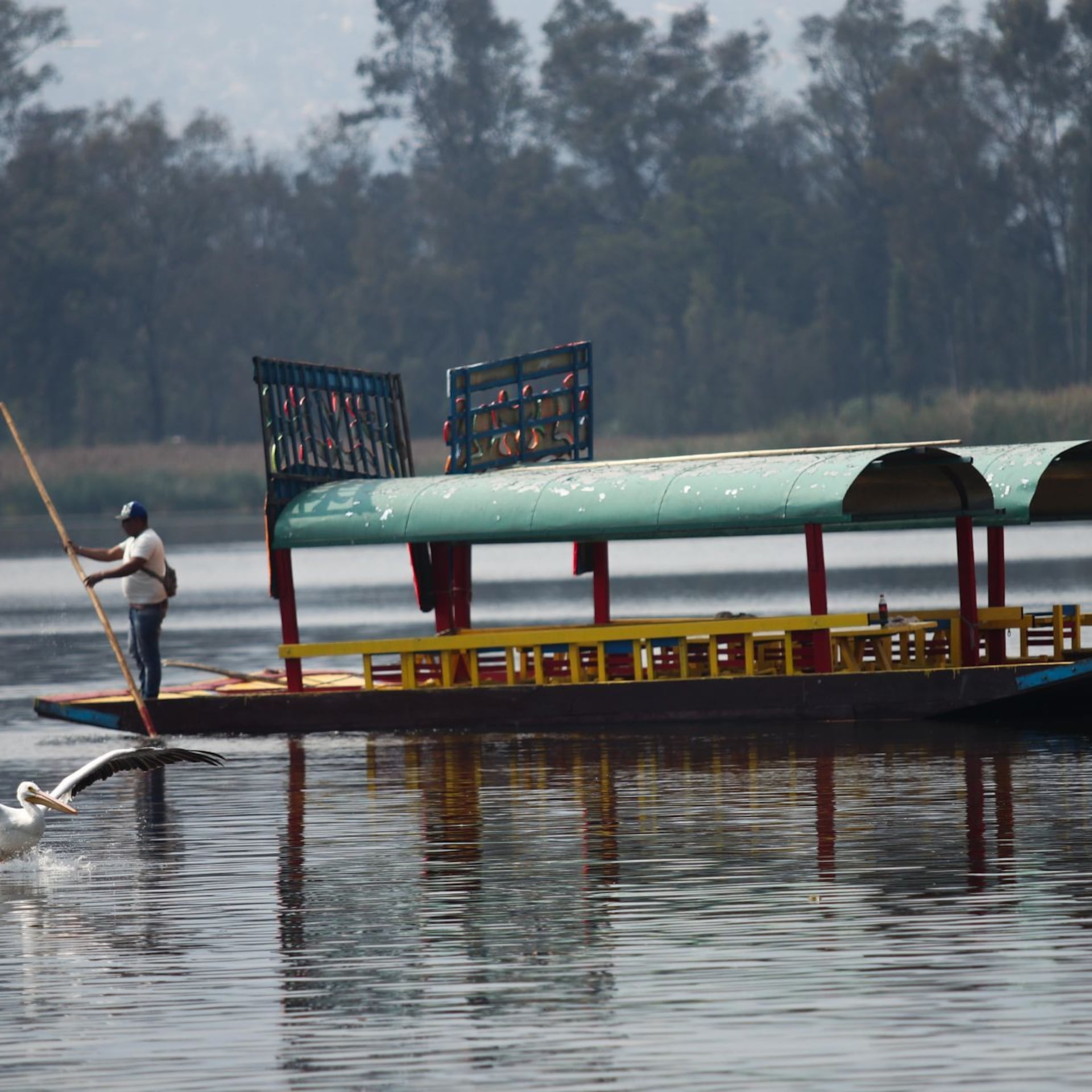 Sedema frena “Ritual del Agua” en Xochimilco por daño al ecosistema