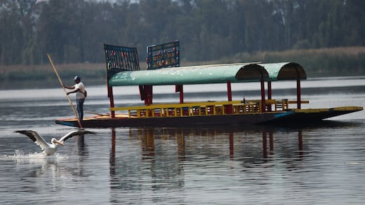 Sedema frena “Ritual del Agua” en Xochimilco por daño al ecosistema