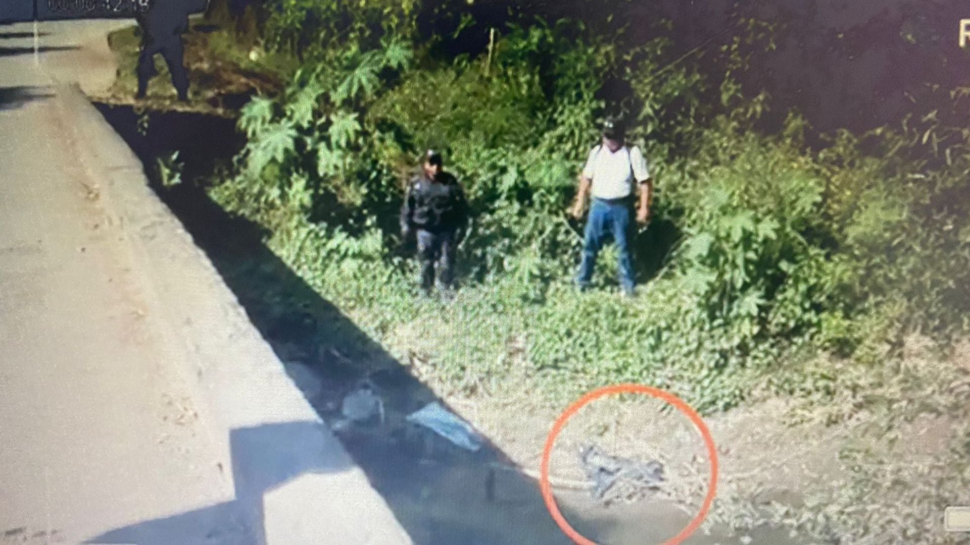 Ayotzinapa, la sembrada "Verdad Histórica" en el Río San Juan