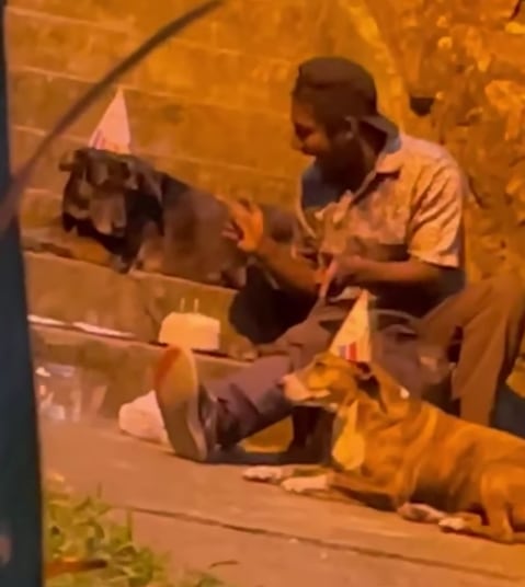 Hombre sin hogar festeja cumpleaños de sus perritos