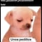 Memes: Nodal y Belinda terminaron a dos días de San Valentín y sin contexto para el chisme