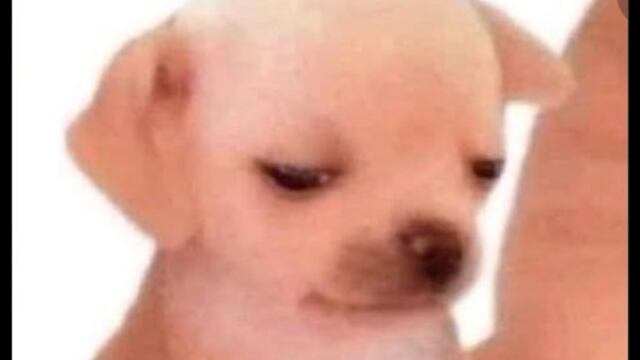 Christian Nodal meme