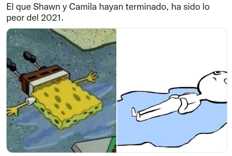 Memes sobre la ruptura de Camila Cabello y Shawn Mendes