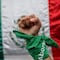 ¿Aborto ya es legal en México tras despenalización de la SCJN? No es tan sencillo y te explicamos por qué